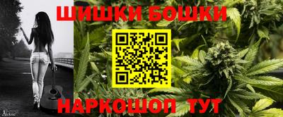 СК Новозыбков