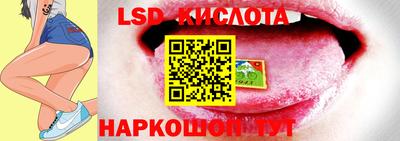 СК Новозыбков