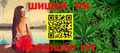 СК Новозыбков