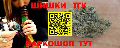 СК Новозыбков