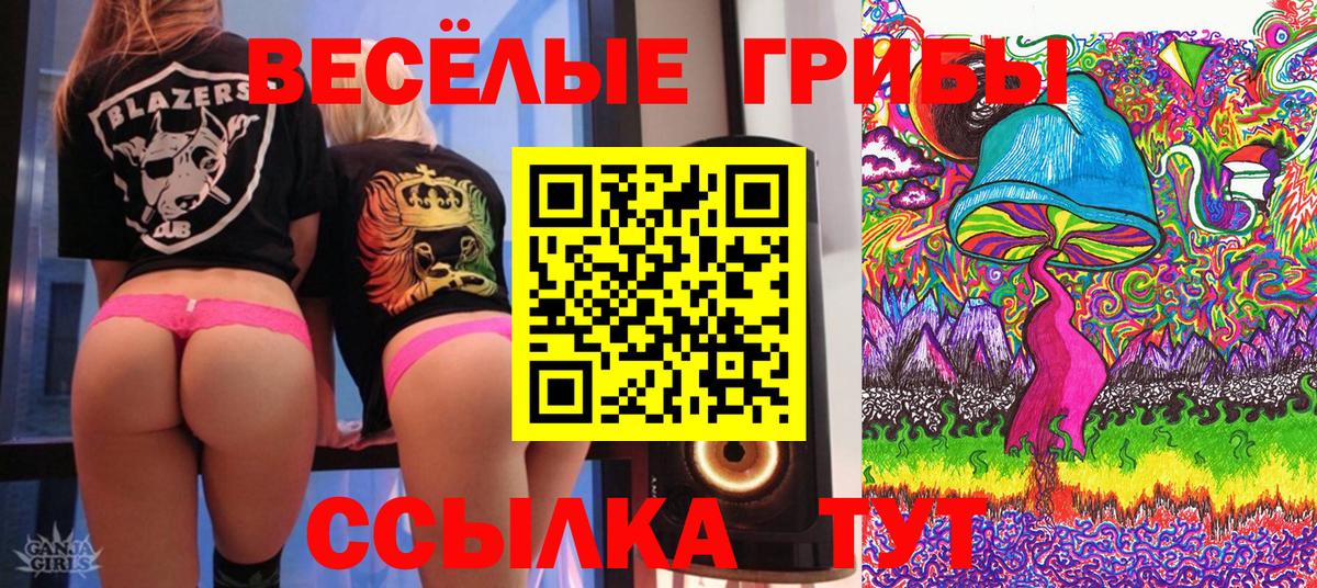 Галлюциногенные грибы Psilocybe  Вход с VPN  Томск 